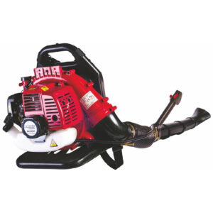 RAIDER Φυσητήρας βενζινοκίνητος 1.7hp RD-GB06 077402