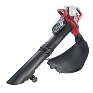 RAIDER R20 Solo Φυσητήρας μπαταρίας 40V RDP-SEBV20 077403