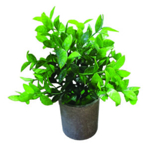 Γλαστράκι πλαστικό με λουλούδια 24cm