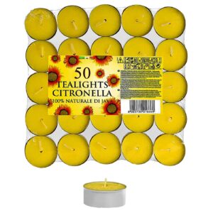 Ρεσώ Σιτρονέλας Αντικουνουπικό πακ=50τεμ 4+h Homie 57459