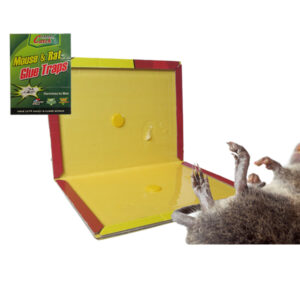 Αυτοκόλλητη παγίδα για ποντίκια και αρουραίους