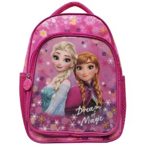 Τσάντα Δημοτικού Frozen 42x31x18cm Disney