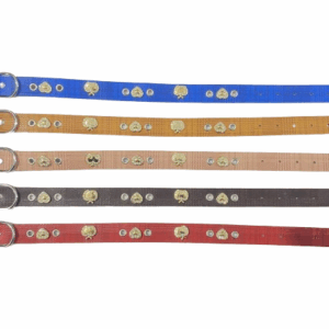 Περιλαίμιο - Κολάρο σκύλου - 2x46cm - 12pcs - 550187