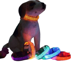 Φωτεινό περιλαίμιο - κολάρο σκύλου - 2.5cm - S/M/L - 10pcs - 550231