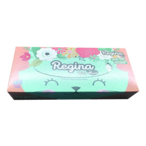 Σετ 100 χαρτομάντηλα Regina