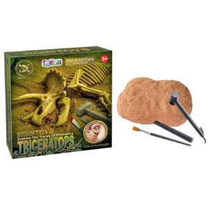 Σκελετός Δεινοσαύρου σε Κουτί 20x22x5cm ToyMarkt 913299