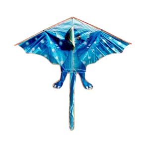 Χαρταετός με σχέδιο - 981096