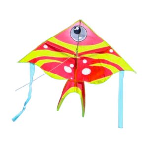 Χαρταετός με σχέδιο - 981218