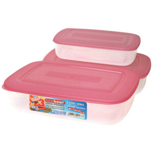 3 πλαστικά τάπερ-φαγητοδοχεία με καπάκι