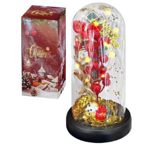 Γυάλα με Φως, Κλαδί Γκι, Άγιο Βασίλη 22x11cm Xmasfest 1133971