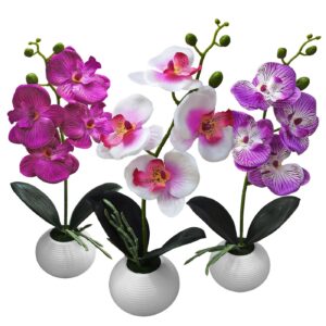 Γλαστράκι Στρογγυλό με Τουλίπες 27x8cm Homie 423037