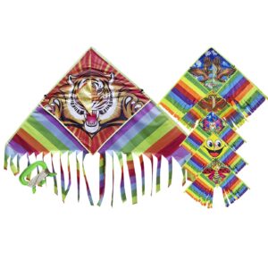 Αετός Πολυεστερικός Σχέδια 140x60cm Carnavalista 23708